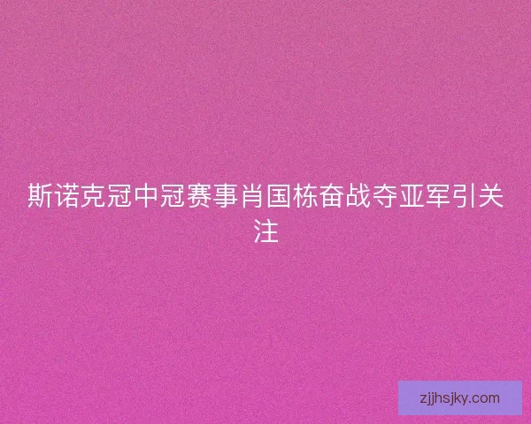 斯诺克冠中冠赛事肖国栋奋战夺亚军引关注